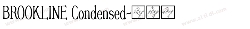 BROOKLINE Condensed字体转换